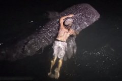 ���Ӱ�ҹ������5�׾��蹲��