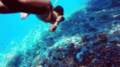 <b>ȫ����޵�10��Ǳˮʤ�أ�������һ�����������</b>