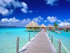 ̩����ֵ��ȥ��9��ȼٺ�����ʷ����ȫ���ԣ�